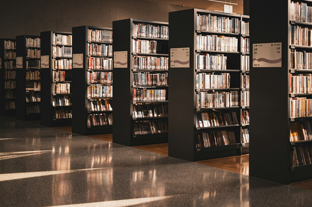 mysterious library shelves